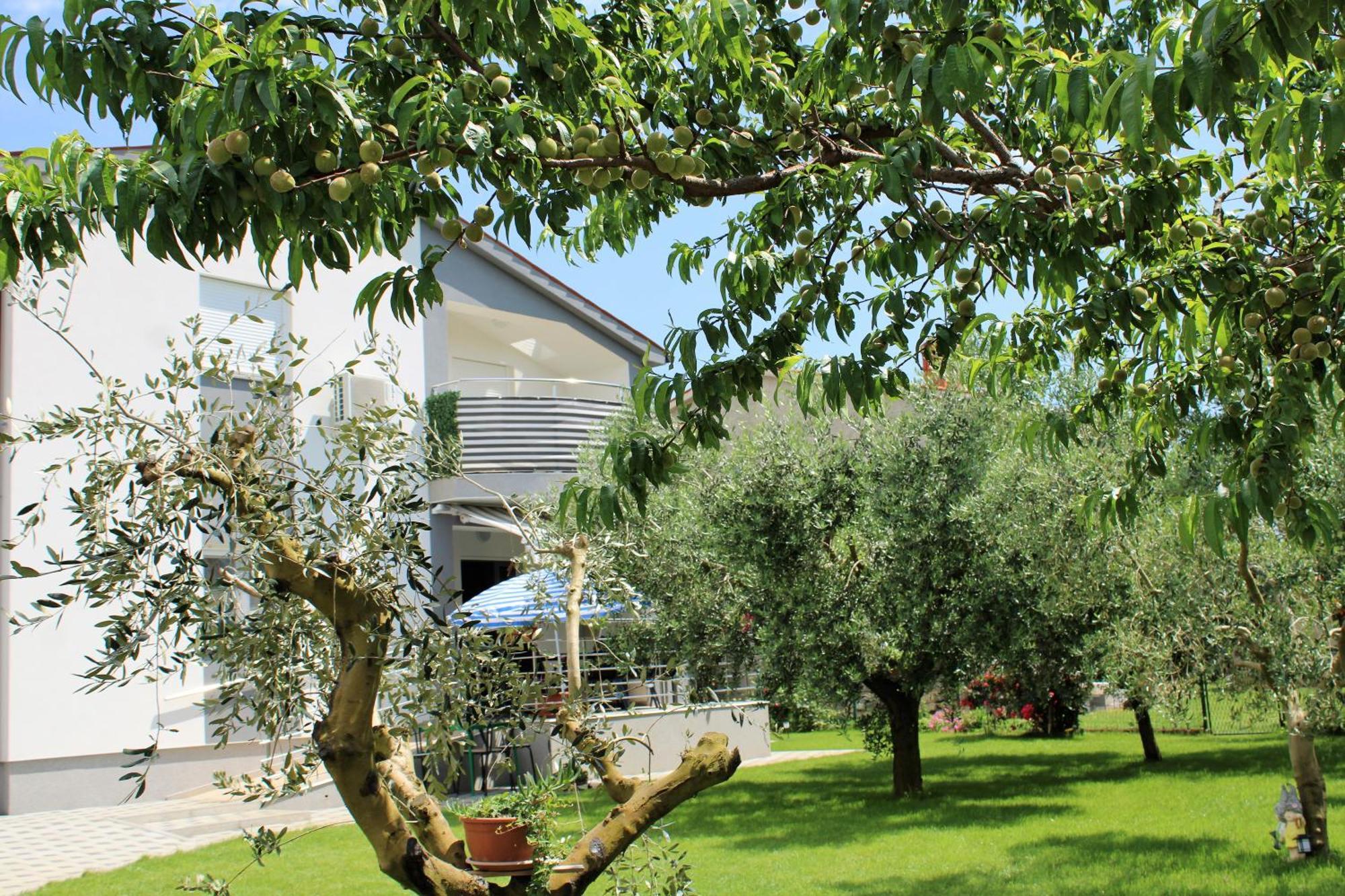 Apartment Nelle Pula